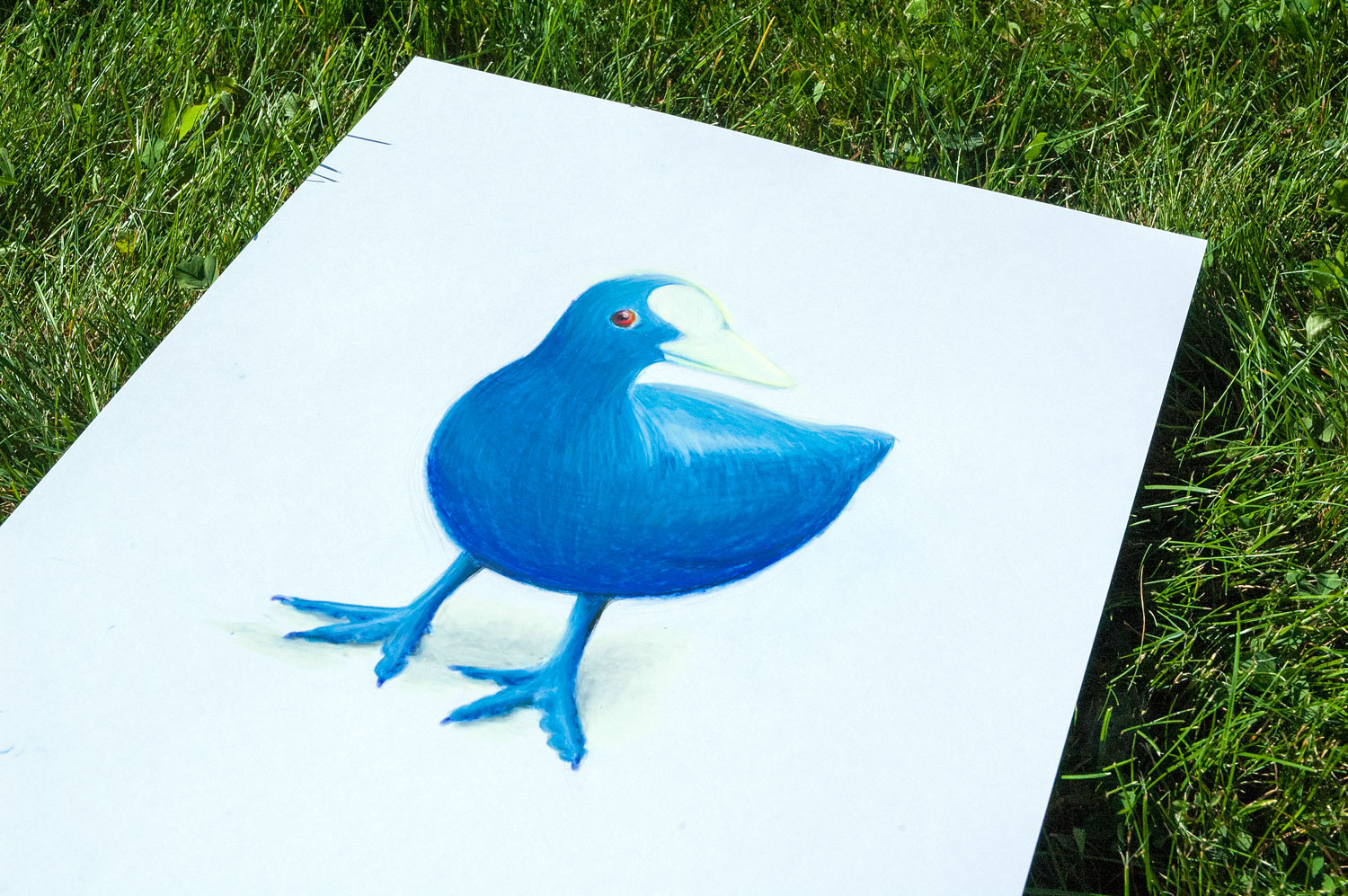 Illustration des blauen Vogels