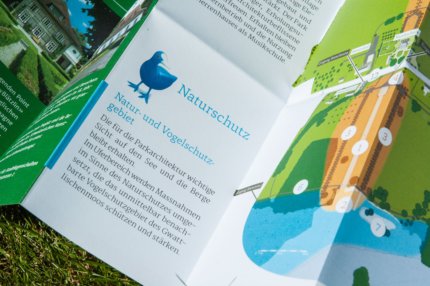 Detail des Faltprospekts zum Naturschutz