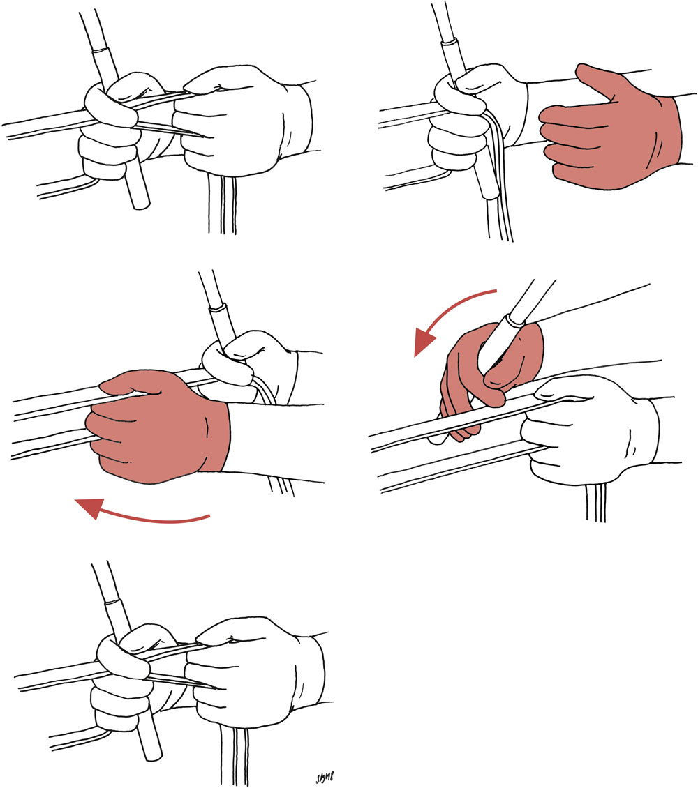 Schrittweise Illustration der Hand- und Zügelführung