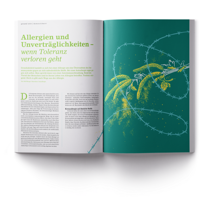 Natürlich Illustration Mockup 07