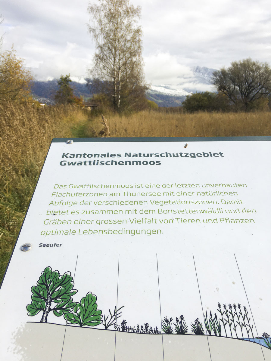 Informationstafel im Naturschutzgebiet Gwattlischenmoos