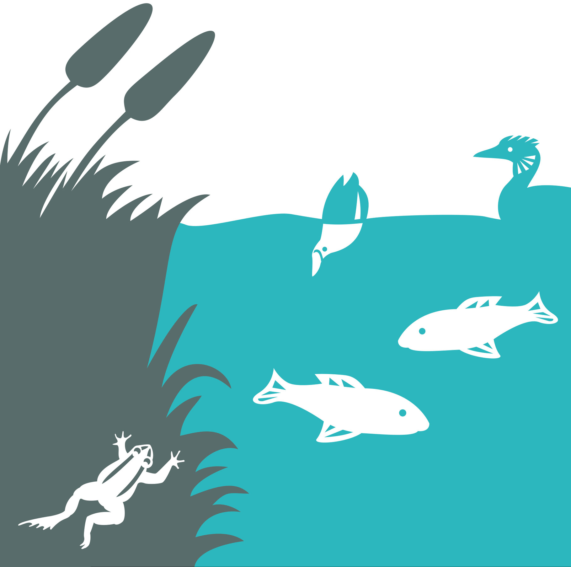 Illustration der Tierwelt im Gwattlischenmoos